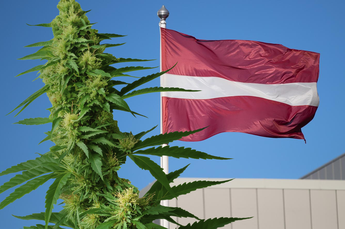 Suure muutuse algus? Läti politsei kutsub üles arutama meditsiinilise kanepi seadustamist