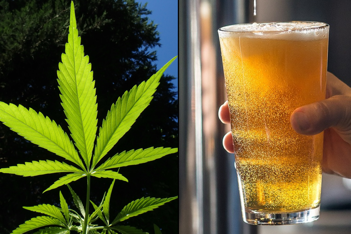 Kanep vs alkohol: kumb on tegelikult ohtlikum?