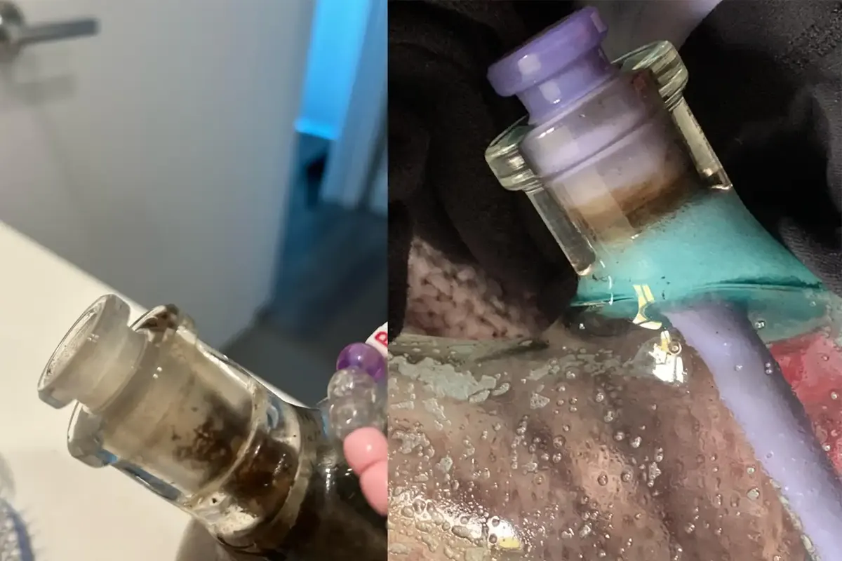 Kuidas kinni jäänud kaha bongist kätte saada