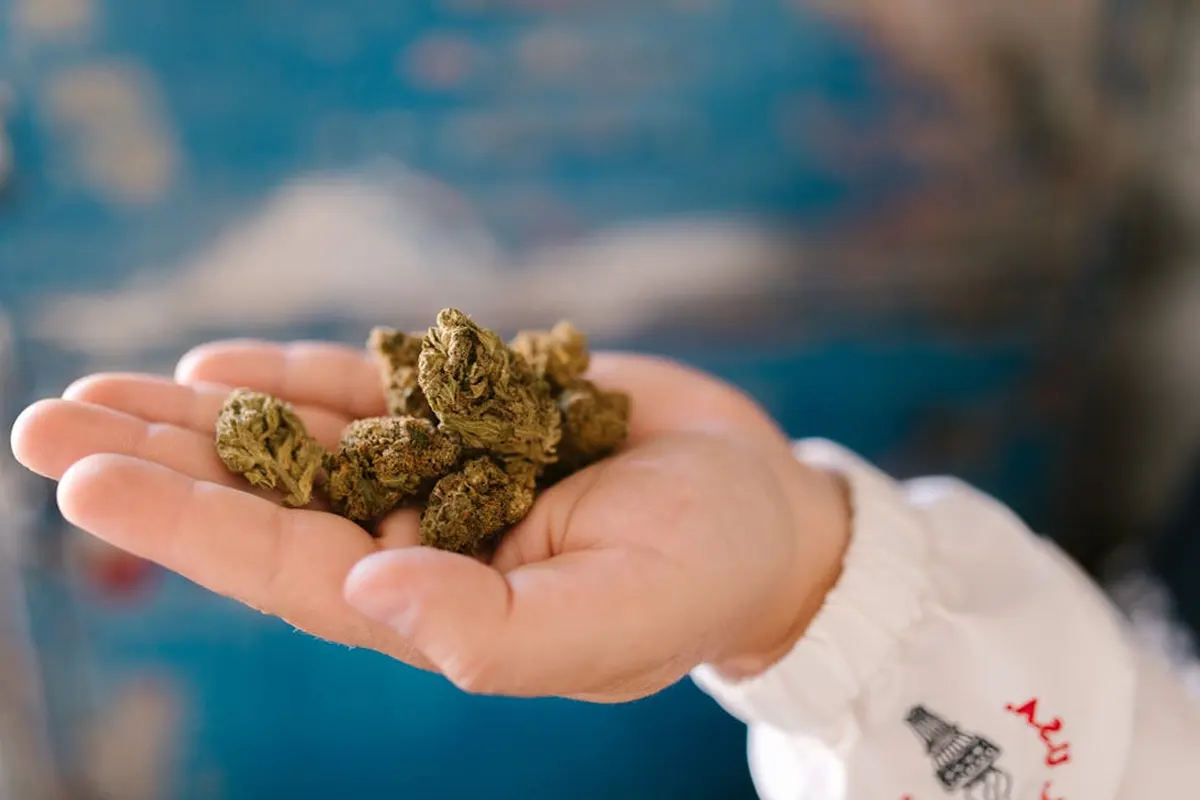 THC-tolerants ja paus – miks efekt nõrgeneb ja kuidas tark paus toimib