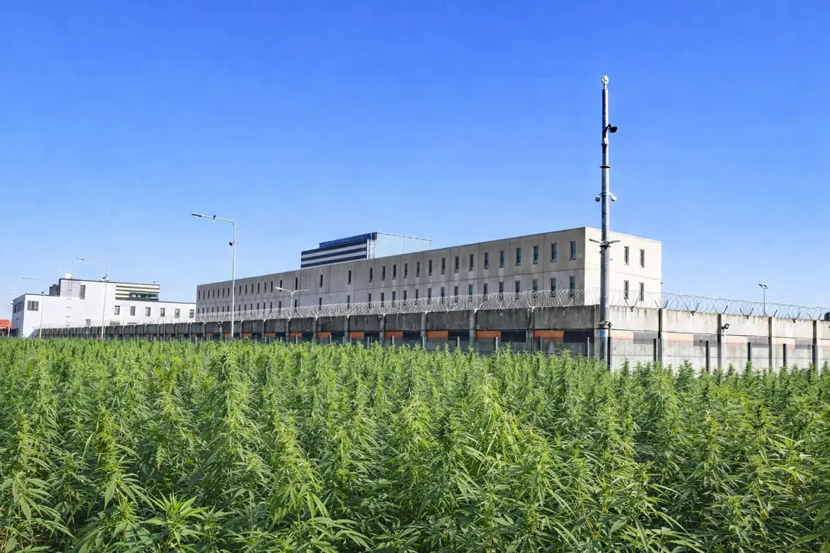 ABSURDITEATER: miks lastakse allilma juht ennetähtaegselt välja, aga Võrumaa kanepikasvataja istub edasi?