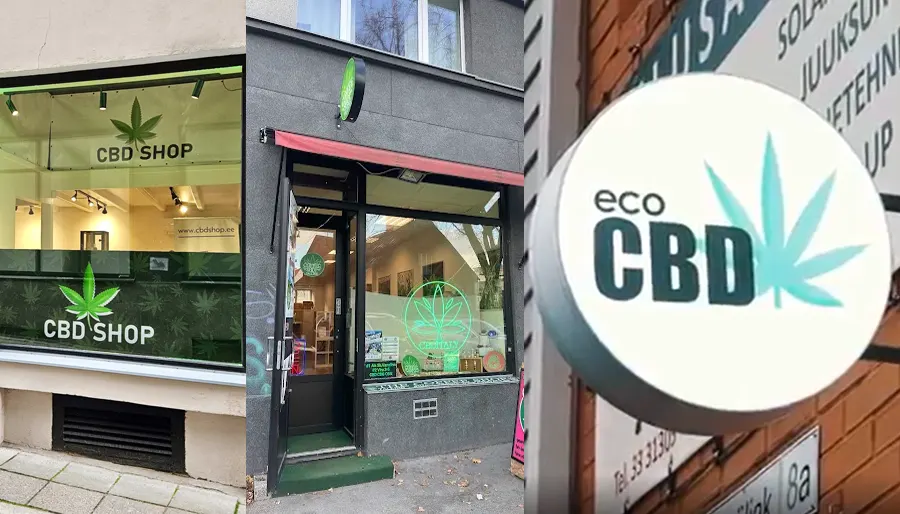 TOP4 CBD poodi Eestis 2026 – Tallinn, Tartu, Pärnu ja Jõhvi